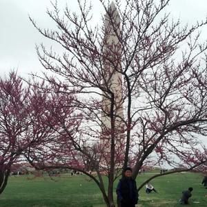 Meet your Posher, Peter